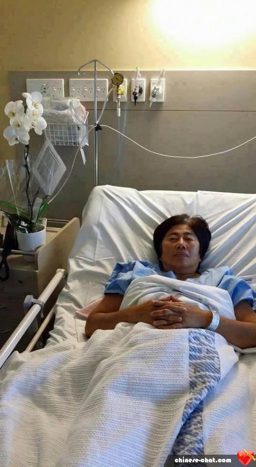 carolina88 - date a Chinese, 100% free carolina88