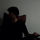 dvlet