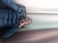 keviniie